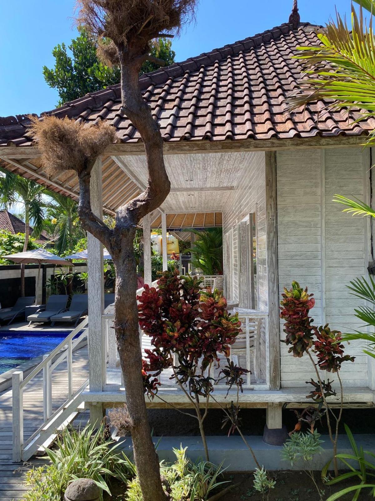 The Nichos Bungalows And Villas نوسا ليمبونغان المظهر الخارجي الصورة
